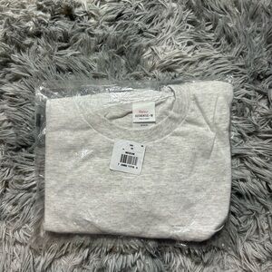 Hanes Authentic Tee in Soft Gray